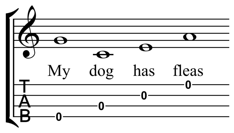 Dog Music Notes 