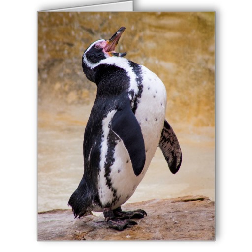 laughing_penguin_greetings_card-r7f04876264b44afb9e98063f857d76a2_i40k2_8byvr_512