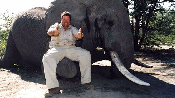 On the left Jimmy has bagged an elephant and on the right a giant grizzly bear, two animals that few sandwich shop owners ever get to kill. In recent years, following protests by anti hunting activists who threatened to not buy their gourmet sandwiches at his shops, Jimmy John Liautaud removed all images he could of his big game hunting exploits. Happily some were preserved by others to permanently record his brave deeds.