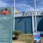 Aquarium to Offer Extended Summer Hours & Daily Sea Lion Demonstrations