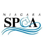 Timeline of Events at Niagara County SPCA Amid Turmoil