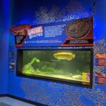 New Exhibit Highlights Dangers of Illegal Wildlife Trade at Aquarium of Niagara